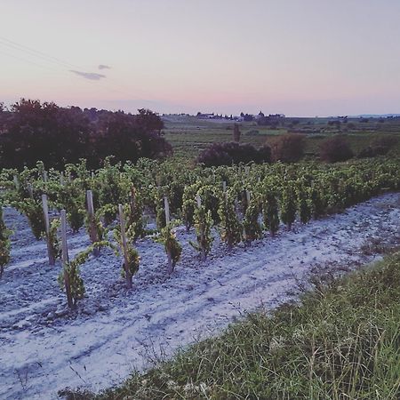 Masqueyras Villa Vacqueyras Kültér fotó