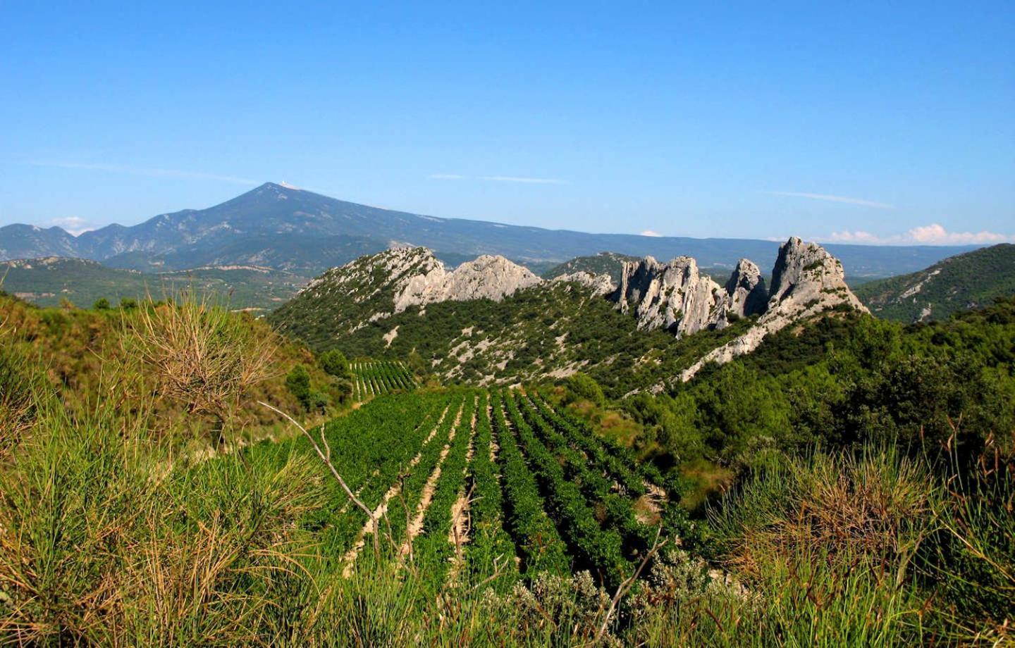 Masqueyras Villa Vacqueyras Kültér fotó